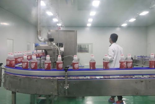 大瑭本草现泡茶荔波全自动生产线揭牌第一批产品下线